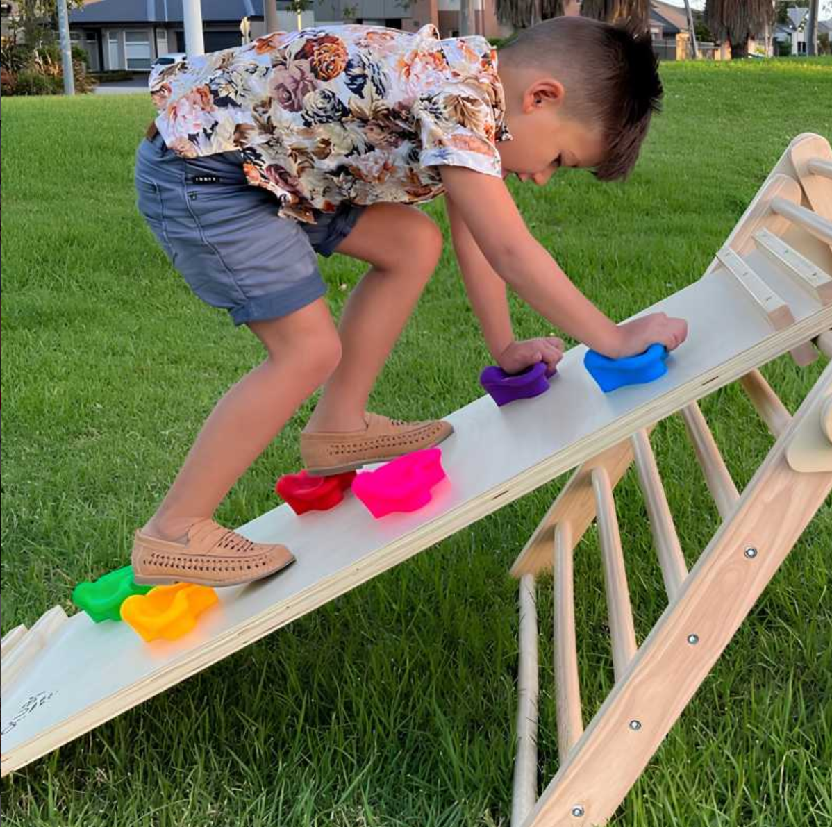 Jenjo Rock Climbing board + frame